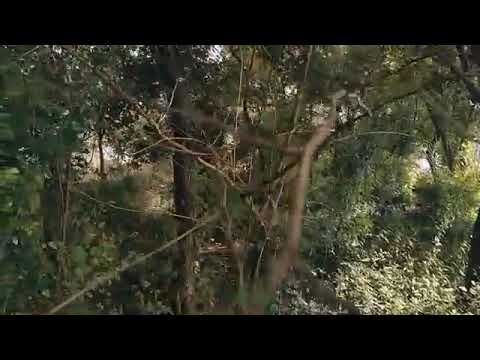 Nature ...😍 #love  #lifeisbutadream #dance #automobile #song #automobile #love 