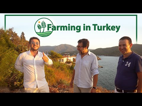 , title : 'Investing Farming in Fethiye Turkey 🚜 One of the Biggest Agricultural Producers 🍅 Vlog #16 Part 2'