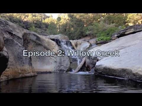 EPIC FINDS with Brod Rob - Episode 2: Willow Creek