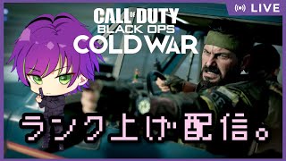 【COD:BOCW】ゾンビ迷彩解除、マルチなど～！