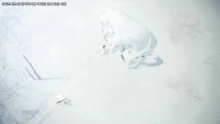 MONSTER HUNTER WORLD : Icebone 스토리 시작#1~