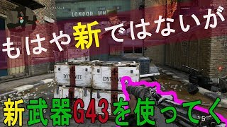 【COD:WW2実況】＃22　もはや新ではない新武器G43を使っていく！