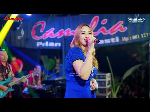 CAMELIA - AIR BUNGA RIA ANDIKA  - WALIMATUL KHITAN - ZULFAN MAULIDAN - JAMBU TIMUR MLONGGO JEPARA