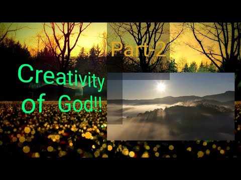 A Beautiful Nature(Part-2)// By Hardeep Kamboj