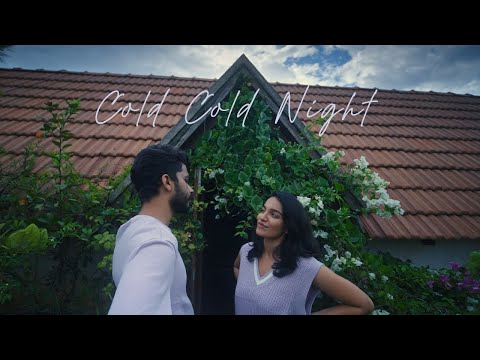 Cold Cold Night - Raghav Meattle (Official Music Video) | Premier