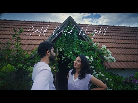 Cold Cold Night - Raghav Meattle (Official Music Video)