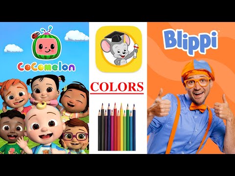 Colors