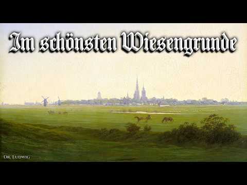 Im schönsten Wiesengrunde [German folk song][+English translation]