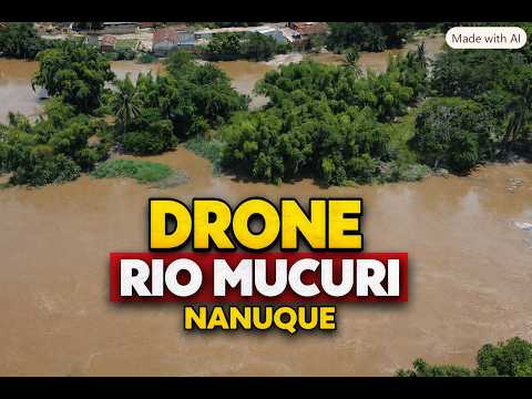 Assista ao vídeo