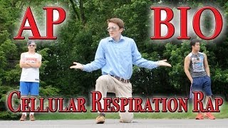 Cellular Respiration Rap