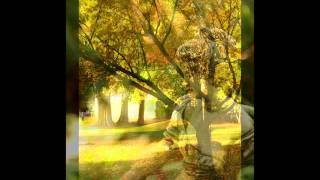 Ron Sexsmith - Fallen.wmv