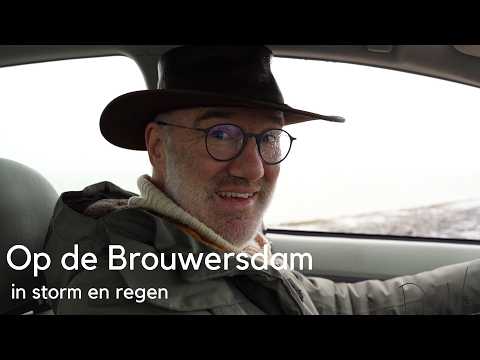 On the Brouwersdam in storm and rain #1733