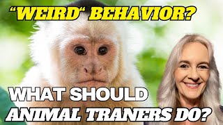 “Weird” Animal Behavior, And What to Do About It