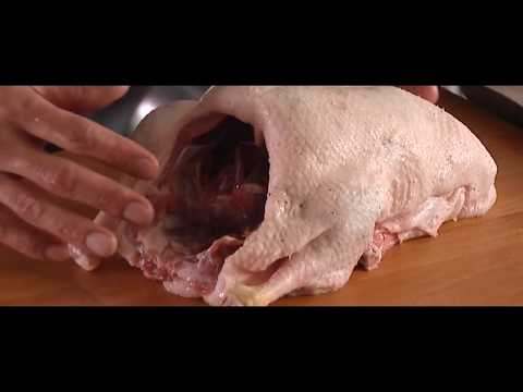 download lagu mp3 mp4 Gressingham Duck Crown, download lagu Gressingham Duck Crown gratis, unduh video klip Gressingham Duck Crown