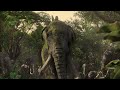 Khumba And The Karoo Animals Meet The Elephants Happy World Elephant Day