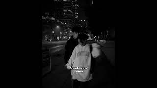 Download lagu Ruth B - Dandelions [Tiktok Version] (Slowed And Reverb Underwater) Lyrics @feelysticx_ mp3