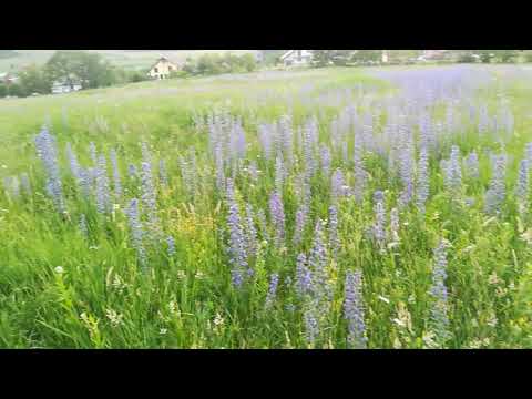 Tura Baia Sprie-Unguras-Rus 23.05.2018