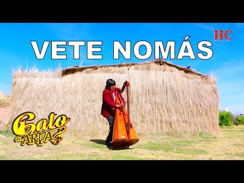 Gato Del Arpa - Falso Amor (Vete Nomás) Videoclip Oficial 2020 (Huayno Perú)