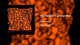Ed Sheeran - You Need To Cut Your Hair