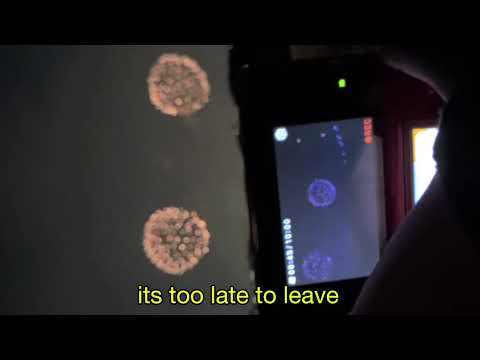 whatsaheart - sky (falling for you) soft version (LYRIC VIDEO)