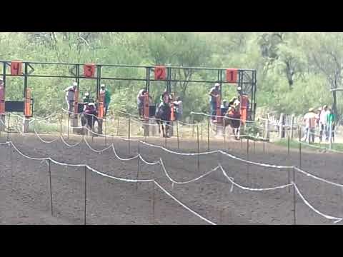 Hip . El Quebrachal (Tomasa)