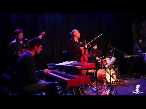 ZOLTÁN LANTOS OPENSOURCE  Dürer kert 2018. 12. 12