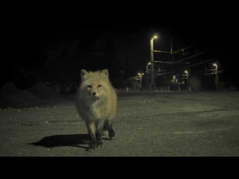 Video thumbnail for Tulln