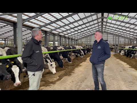 A Roof With A Difference |