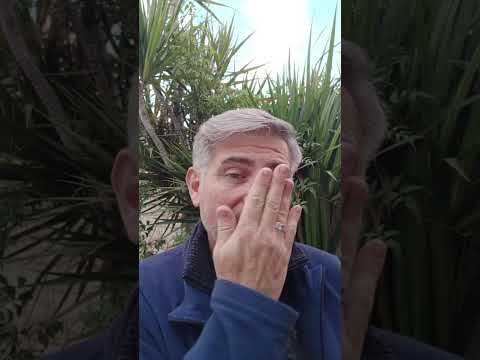 Evangelio del Nuestro Señor Jesucristo Con el Padre Fabian Esteban Oliva. Segunda.02/06/26