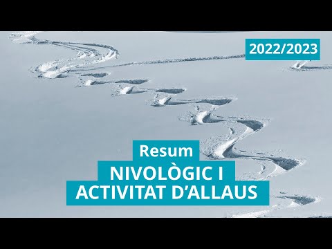 Resum nivològic i d'activitat d'allaus. Temporada 2022-2023
