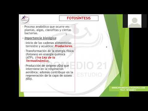Biología Agraria: Fotosíntesis SAR (Luis Luyo) (14-11-2020)
