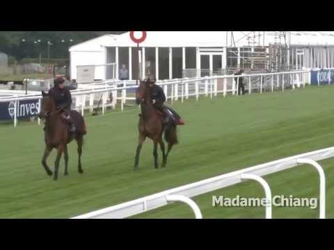 Investec Oaks 2014 - Breakfast with the Stars