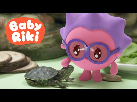 🐢 BabyRiki: Țestoasa | Desene Animate Educative în Română despre Animale de Companie pentru Copii🐾❤️