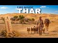 Inside Thar Desert 50 C Life Beyond The Sand