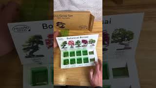 Grow your own Bonsai Trees with our Eco Grow Kit�