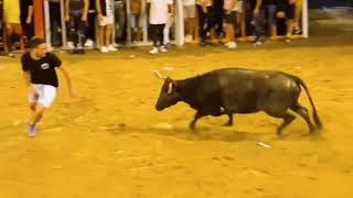 bull attack human? This is not a game?? #animalfunny #animallover #animalfight
