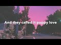 Paul Anka- Puppy Love lyrics