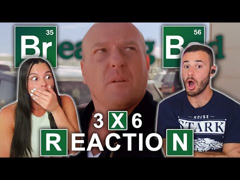 Hank Was SO CLOSE | Breaking Bad 3x6 | Reaction & Review | 'Sunset'