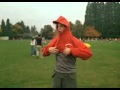 Elephant 2003