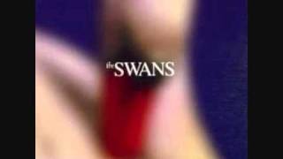 The Swan,s - If I Only Had Time.wmv