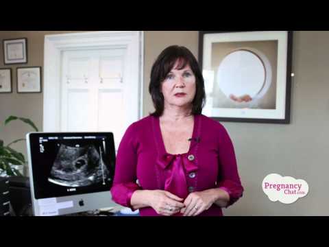 What Is The Pregnancy Yolk Sac