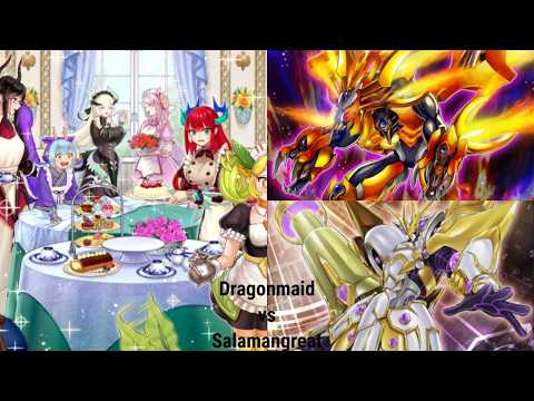 #38 Dragonmaid vs Salamangreat | Yu-Gi-Oh Master Duel | DICE RALLY