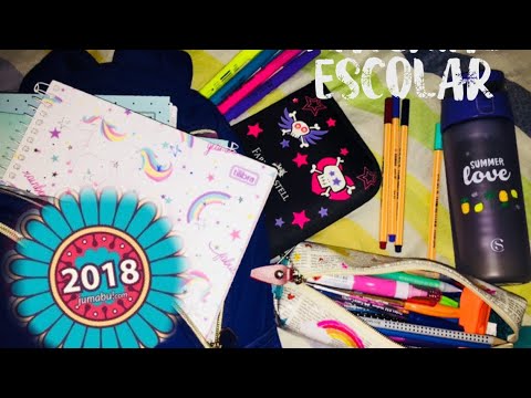 Organizando meu material escolar 2018❤️