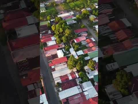 Cariari pococi limón CR #Shorts