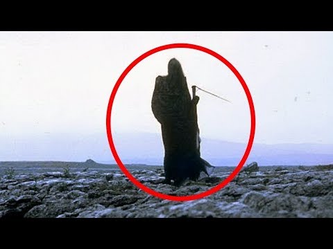 TOP 5 Sensenmänner auf Kamera festgehalten!