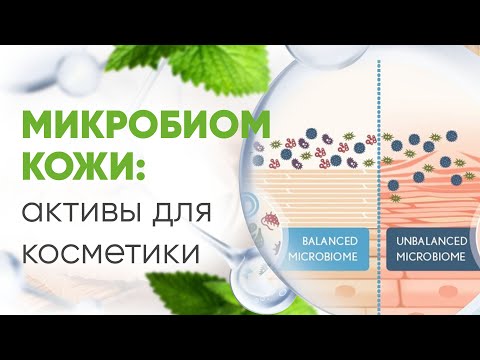 Лизат лактобактерий 5г