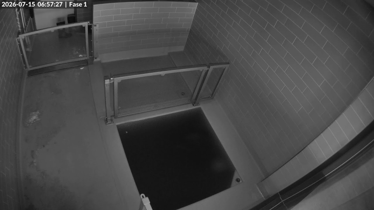 Live webcam view of Seal Rehab Enclosure Cam