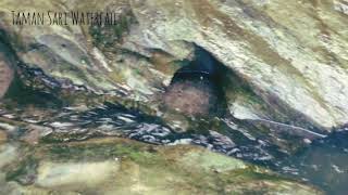 Download lagu Taman Sari Waterfall Bali mp3 Download lagu Taman Sari Waterfall Bali mp3