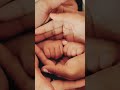 Cute Family Love Goals BABY HAND VIDEO Whatsappstatus