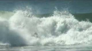 Sydonia - Life in a Cup